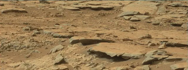 Sol 137: Mast Camera (Mastcam)