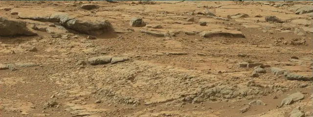 Sol 137: Mast Camera (Mastcam)