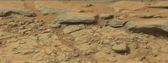 Sol 137: Mast Camera (Mastcam)