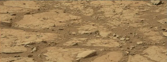 Sol 137: Mast Camera (Mastcam)