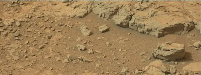 Sol 137: Mast Camera (Mastcam)