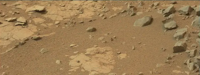 Sol 137: Mast Camera (Mastcam)