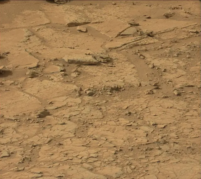 Sol 137: Mast Camera (Mastcam)