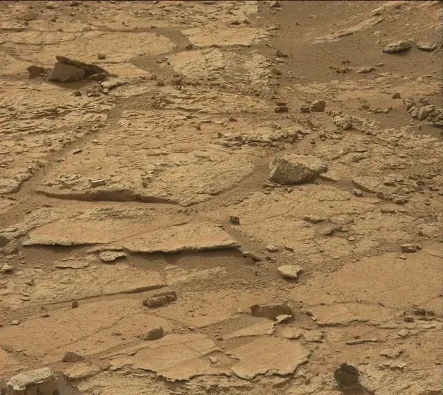 Sol 137: Mast Camera (Mastcam)