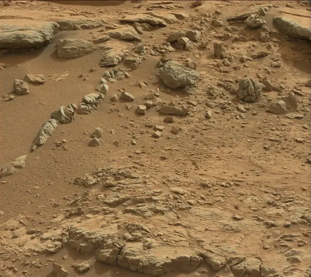 Sol 137: Mast Camera (Mastcam)