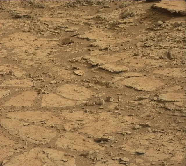 Sol 137: Mast Camera (Mastcam)