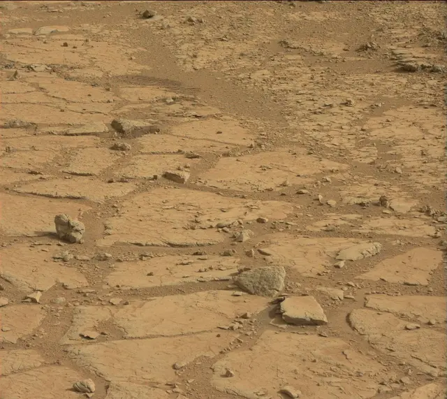 Sol 137: Mast Camera (Mastcam)