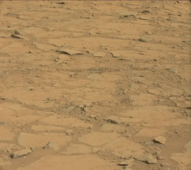 Sol 137: Mast Camera (Mastcam)