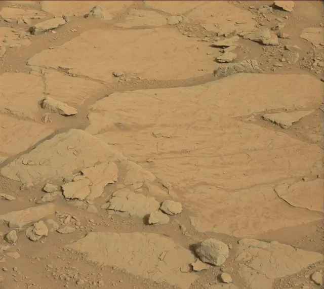 Sol 137: Mast Camera (Mastcam)
