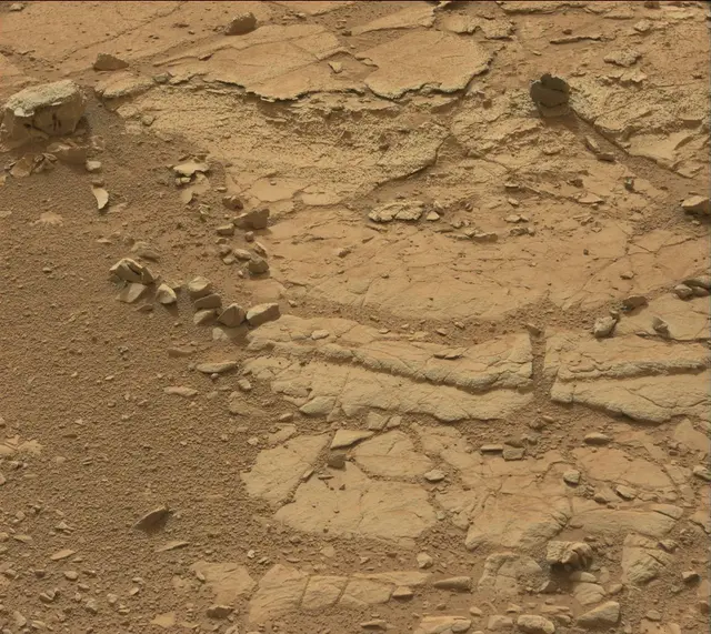 Sol 137: Mast Camera (Mastcam)