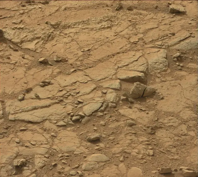 Sol 137: Mast Camera (Mastcam)