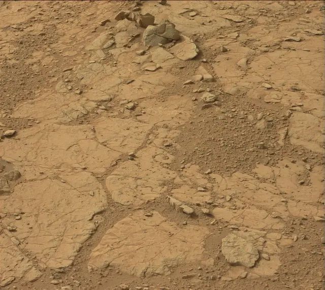 Sol 137: Mast Camera (Mastcam)