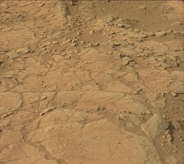 Sol 137: Mast Camera (Mastcam)