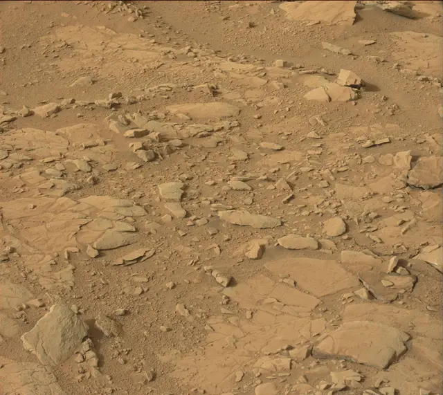 Sol 137: Mast Camera (Mastcam)