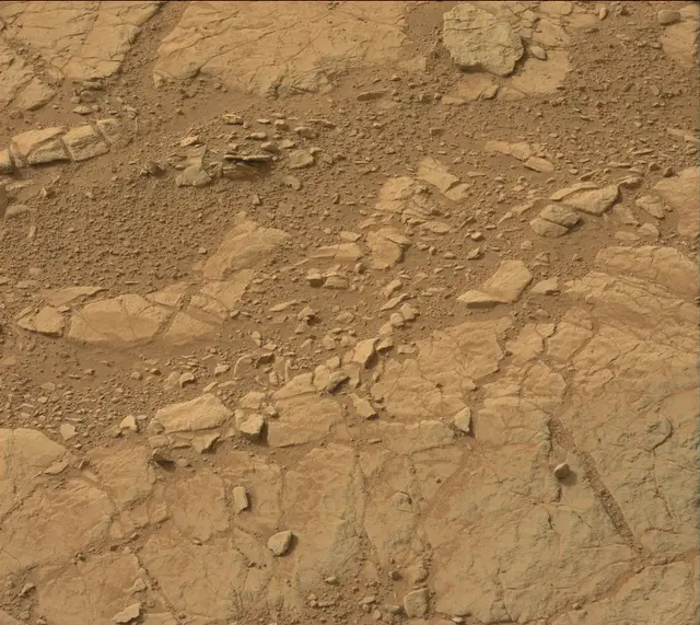 Sol 137: Mast Camera (Mastcam)
