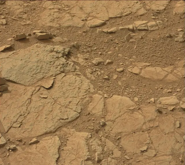 Sol 137: Mast Camera (Mastcam)