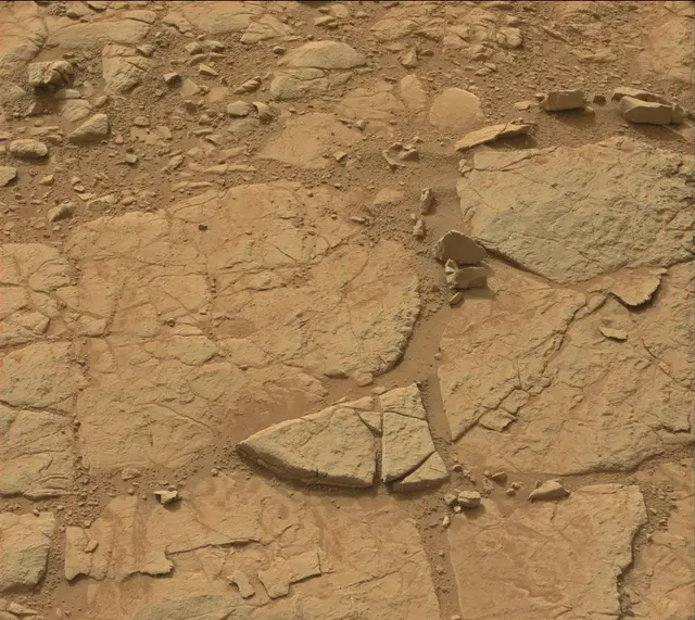 Sol 137: Mast Camera (Mastcam)