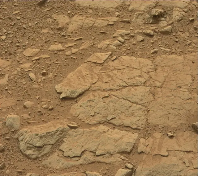 Sol 137: Mast Camera (Mastcam)