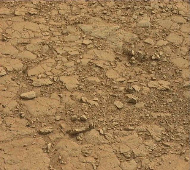 Sol 137: Mast Camera (Mastcam)