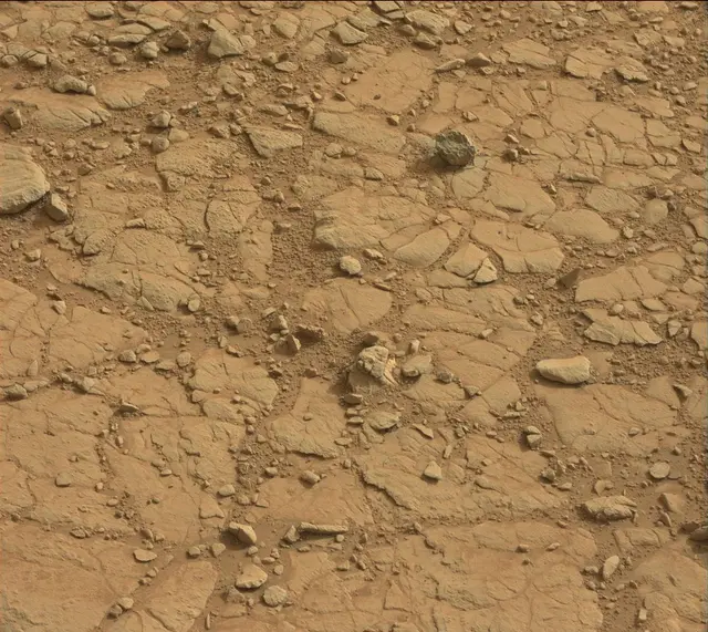 Sol 137: Mast Camera (Mastcam)