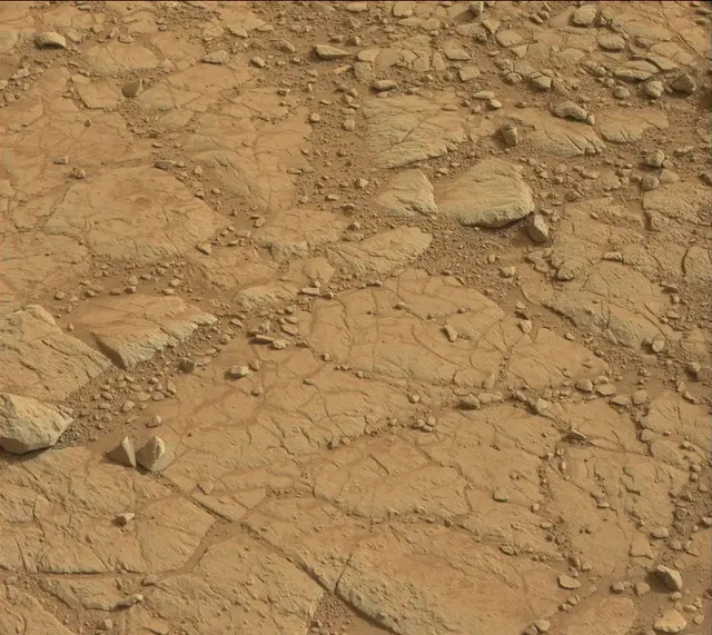 Sol 137: Mast Camera (Mastcam)