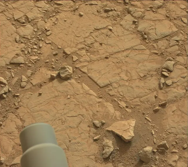 Sol 137: Mast Camera (Mastcam)