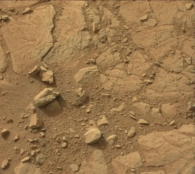 Sol 137: Mast Camera (Mastcam)