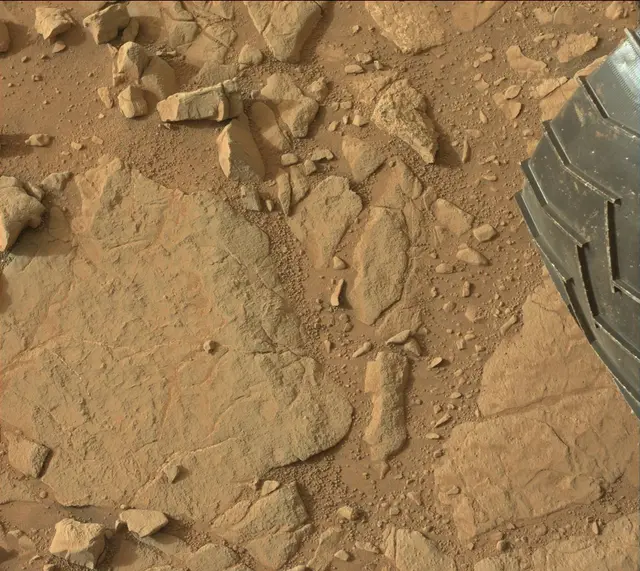 Sol 137: Mast Camera (Mastcam)
