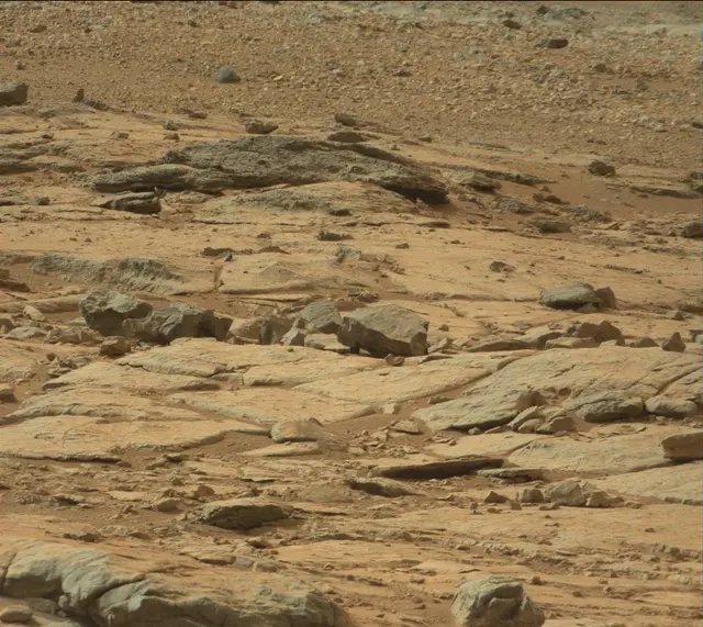 Sol 137: Mast Camera (Mastcam)