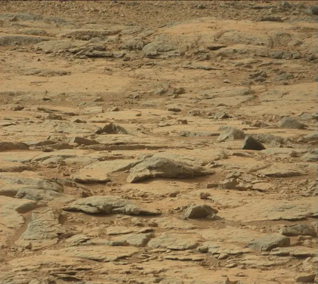Sol 137: Mast Camera (Mastcam)