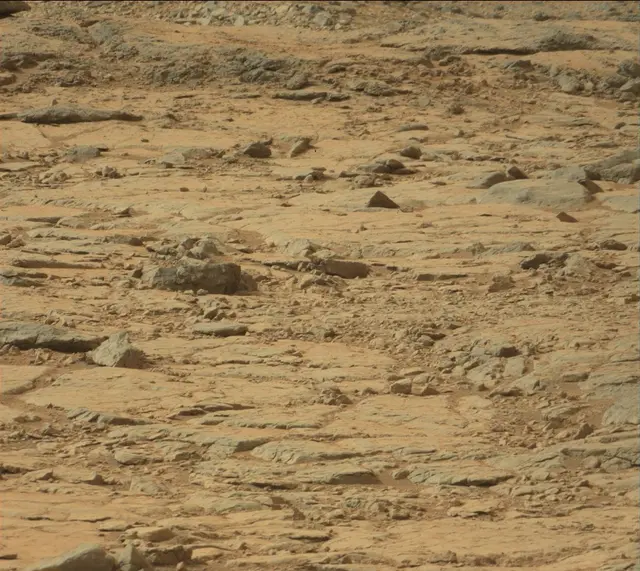 Sol 137: Mast Camera (Mastcam)