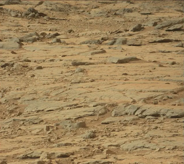 Sol 137: Mast Camera (Mastcam)