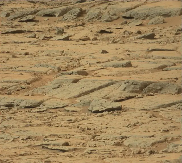 Sol 137: Mast Camera (Mastcam)
