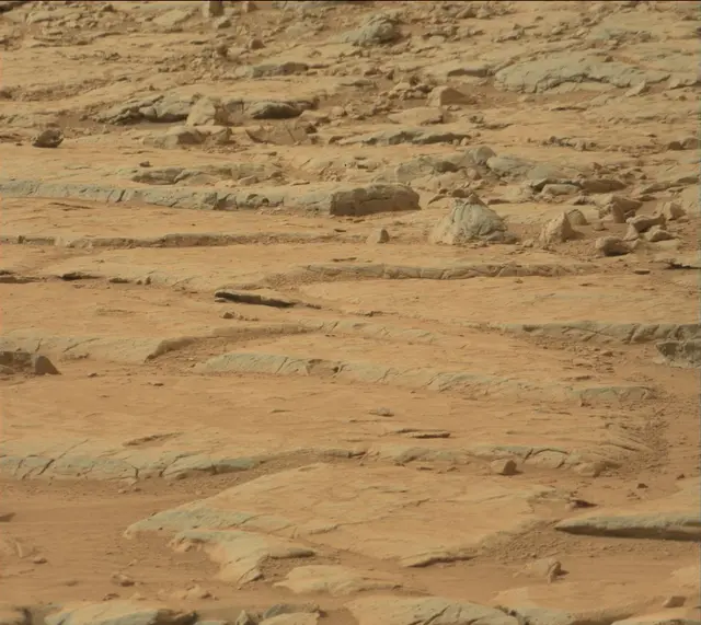 Sol 137: Mast Camera (Mastcam)
