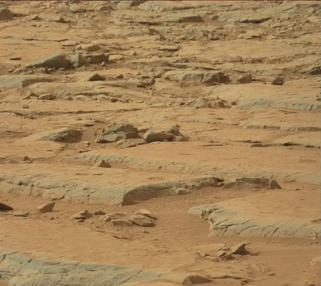 Sol 137: Mast Camera (Mastcam)