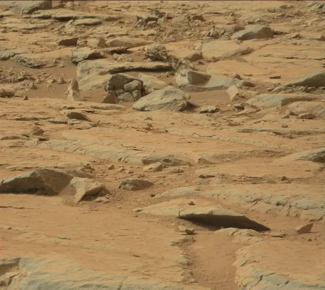 Sol 137: Mast Camera (Mastcam)