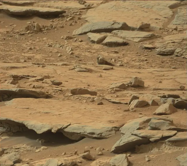 Sol 137: Mast Camera (Mastcam)