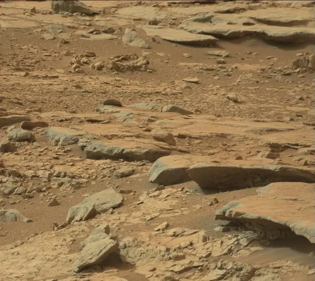 Sol 137: Mast Camera (Mastcam)