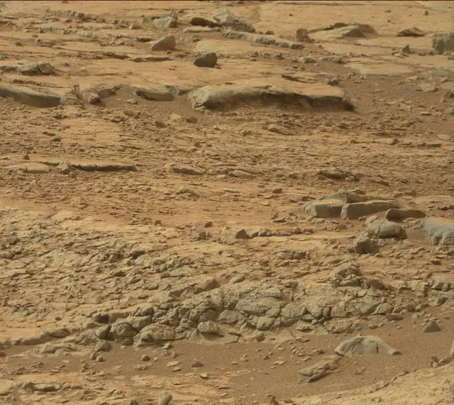 Sol 137: Mast Camera (Mastcam)