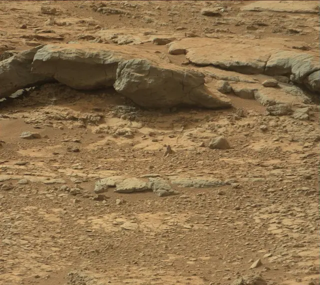 Sol 137: Mast Camera (Mastcam)