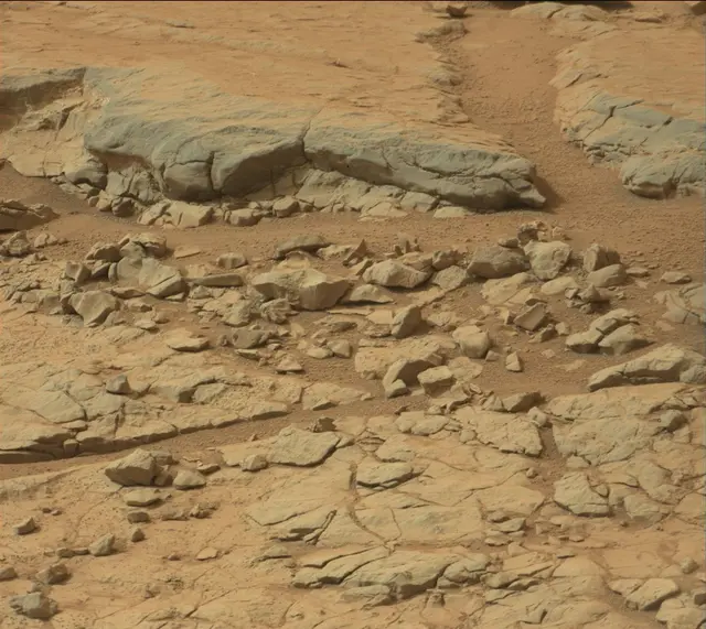 Sol 137: Mast Camera (Mastcam)