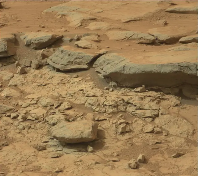 Sol 137: Mast Camera (Mastcam)