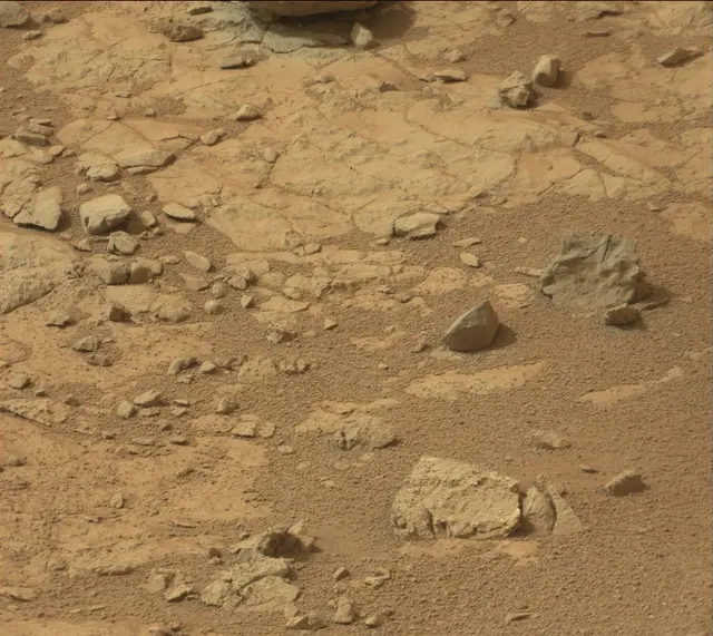 Sol 137: Mast Camera (Mastcam)