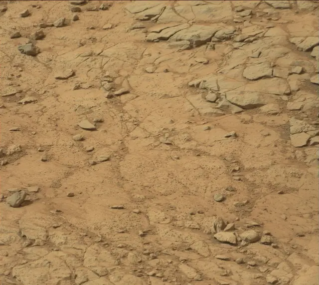Sol 137: Mast Camera (Mastcam)