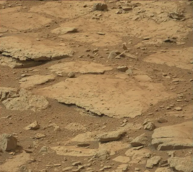 Sol 137: Mast Camera (Mastcam)