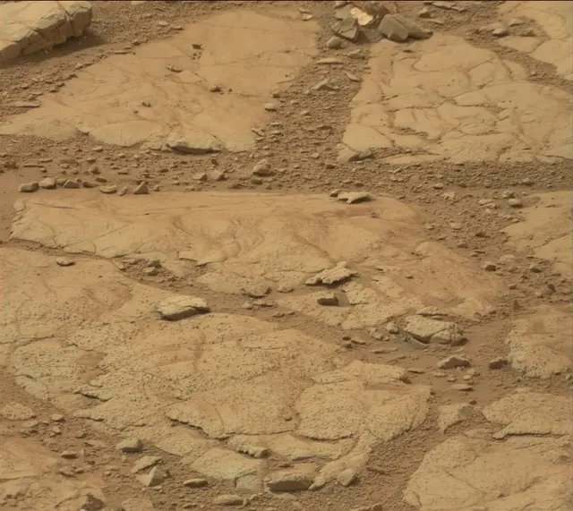 Sol 137: Mast Camera (Mastcam)