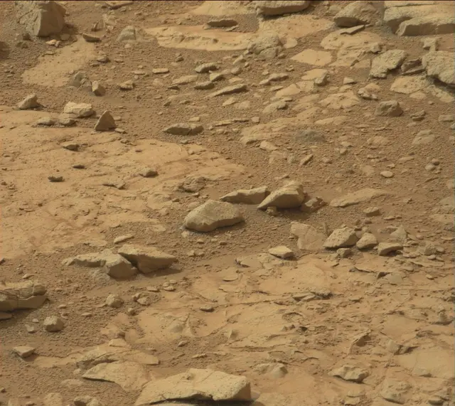 Sol 137: Mast Camera (Mastcam)