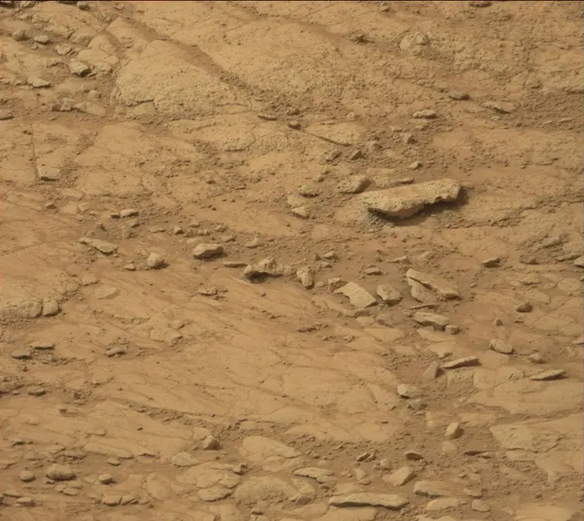 Sol 137: Mast Camera (Mastcam)