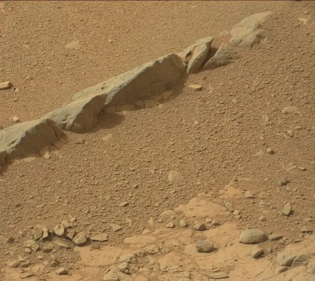Sol 137: Mast Camera (Mastcam)