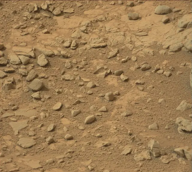 Sol 137: Mast Camera (Mastcam)